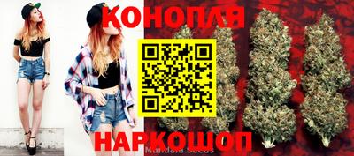 гашик Севастополь
