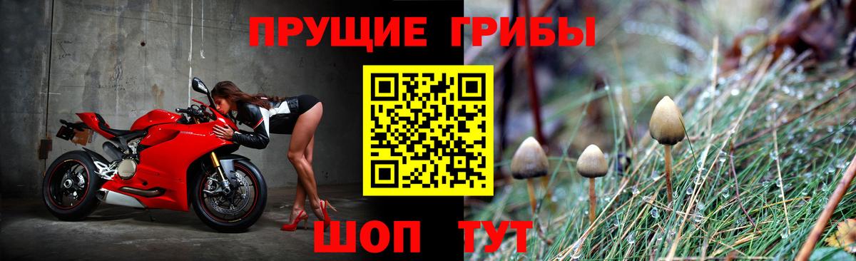 Галлюциногенные грибы Psilocybine cubensis  Вход с VPN  Галлюциногенные грибы MAGIC MUSHROOMS  Светлоград 