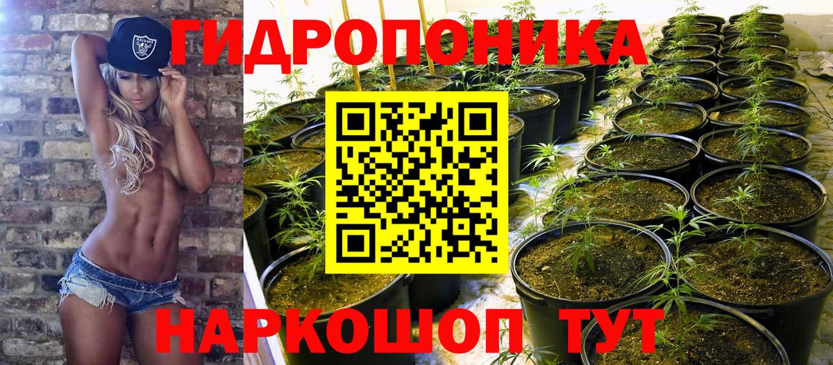 Конопля Ganja Светлоград